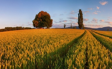 agriculture isolation thermique Certificats d’Économies d’Énergie
